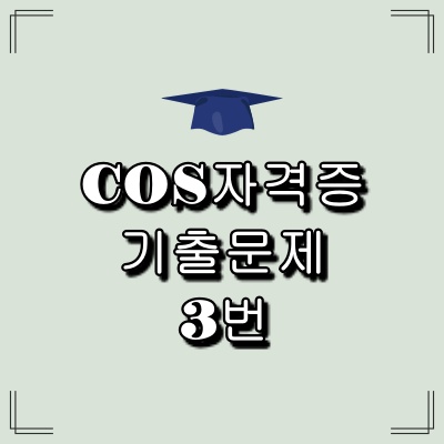 cos자격증 4급 기출문제 3번