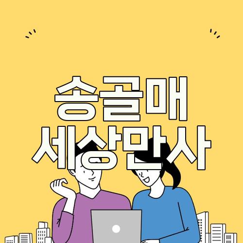 송골매 세상만사
