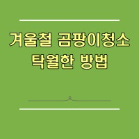 곰팡이 청소 방법