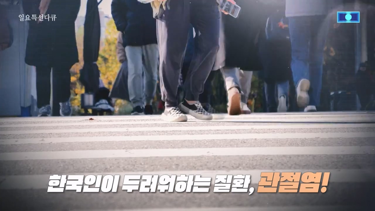 일요특선 다큐멘터리.E343.231127p-NEXT.mp4_20231126_170452.829.jpg