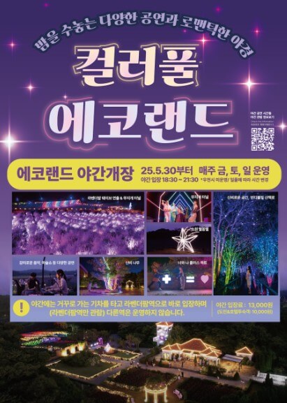 에코랜드 테마파크 야간개장