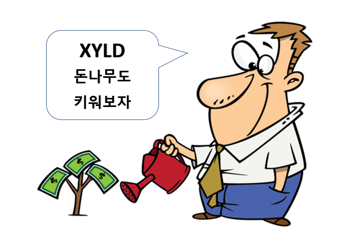 XYLD 돈나무도 키워보자