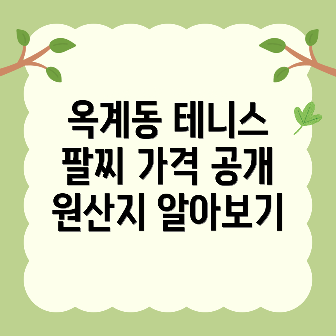 대전 테니스 팔찌 가격