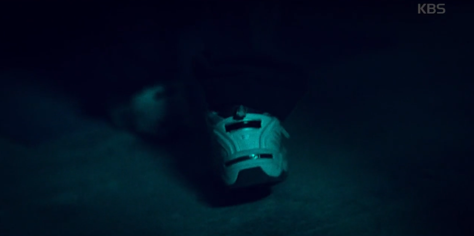 무렵 장난 정체 동백꽃 20