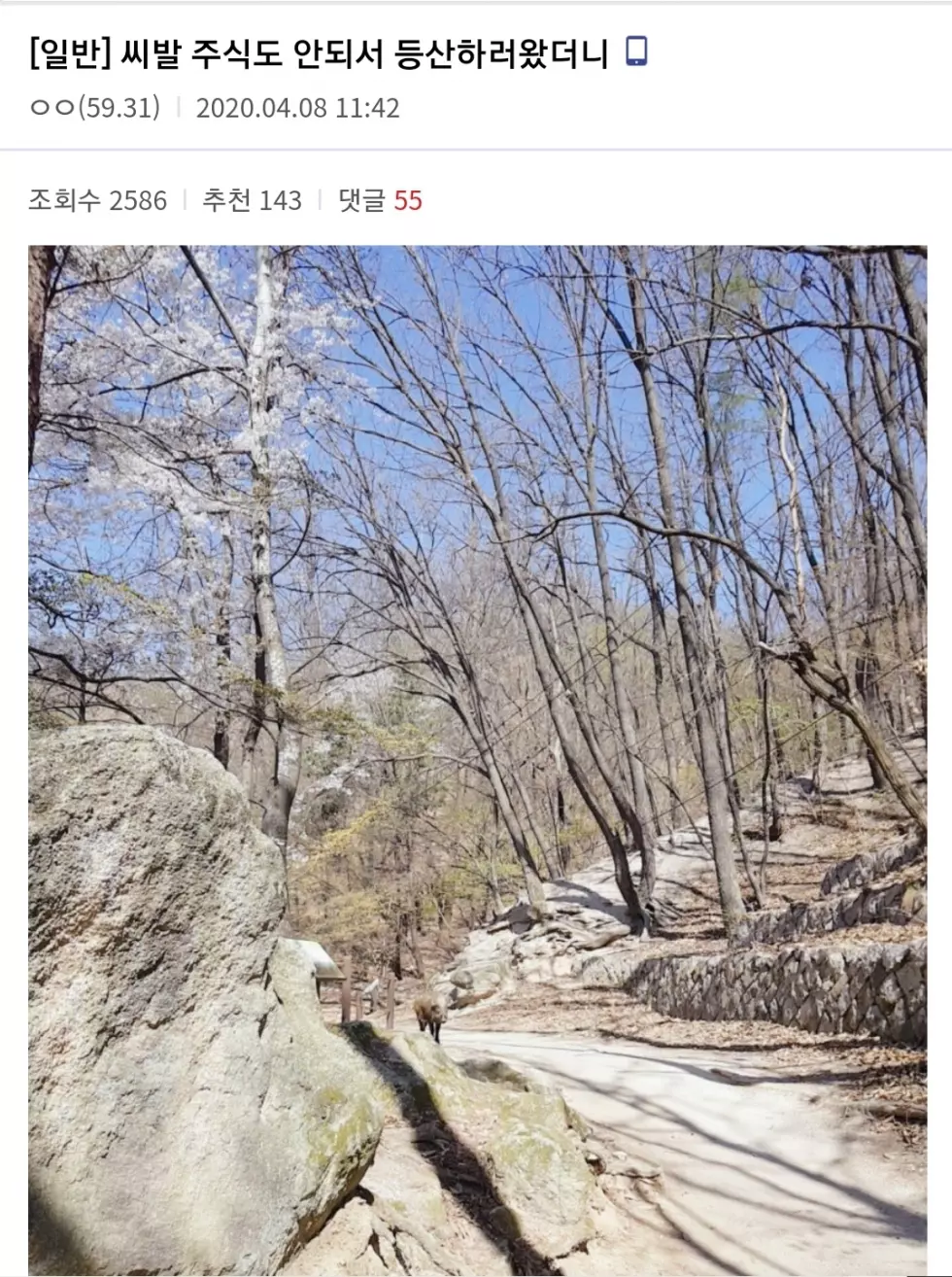  주식이 안되서 답답한 디씨인