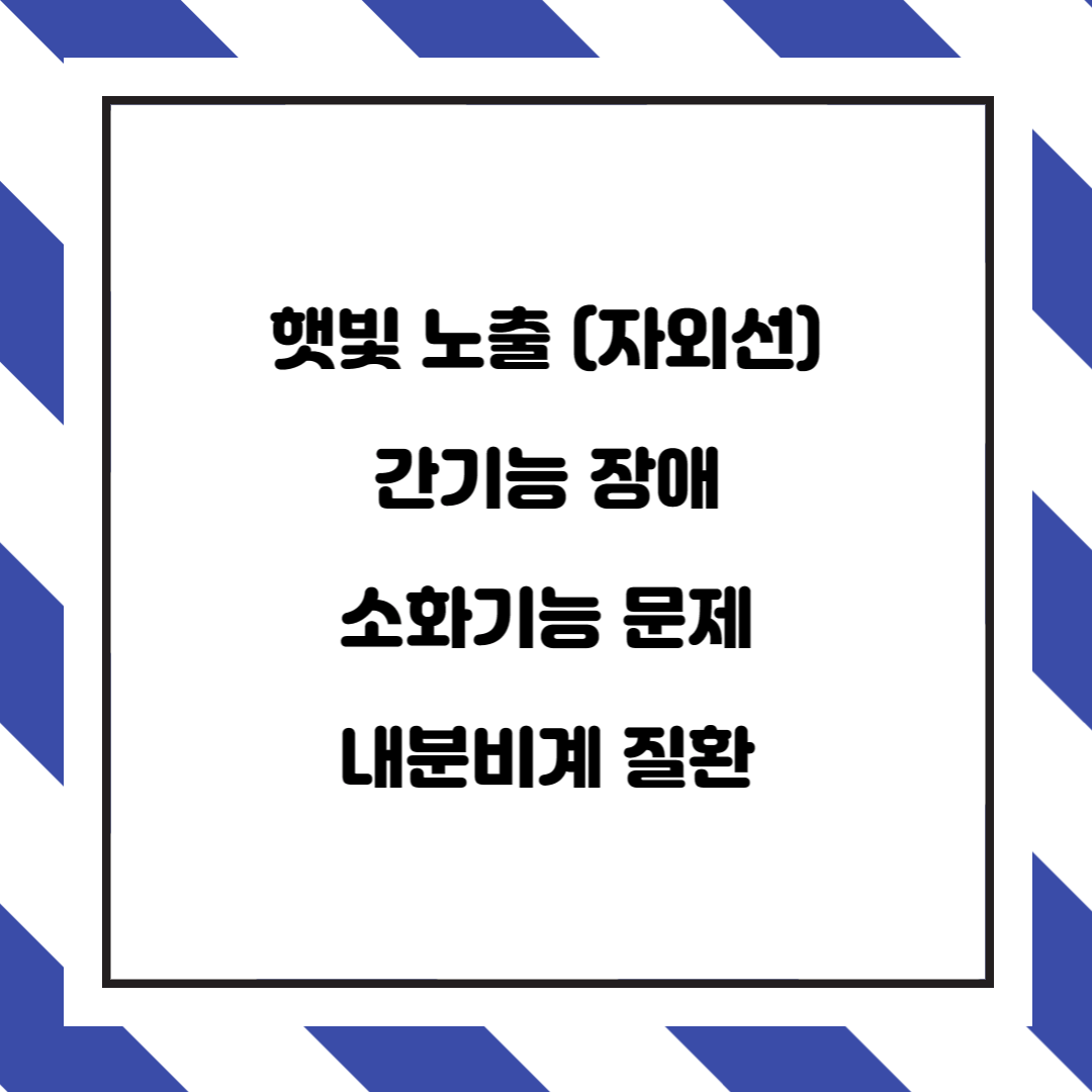  기미와 검버섯의 원인과 예방하는 방법/좋은 식품