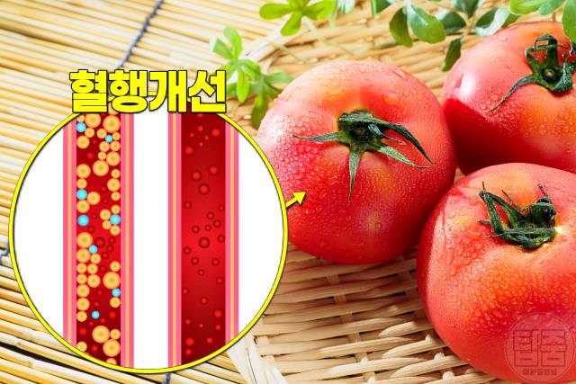 혈관에 좋은 과일 혈행개선제 음식 추천 토마토