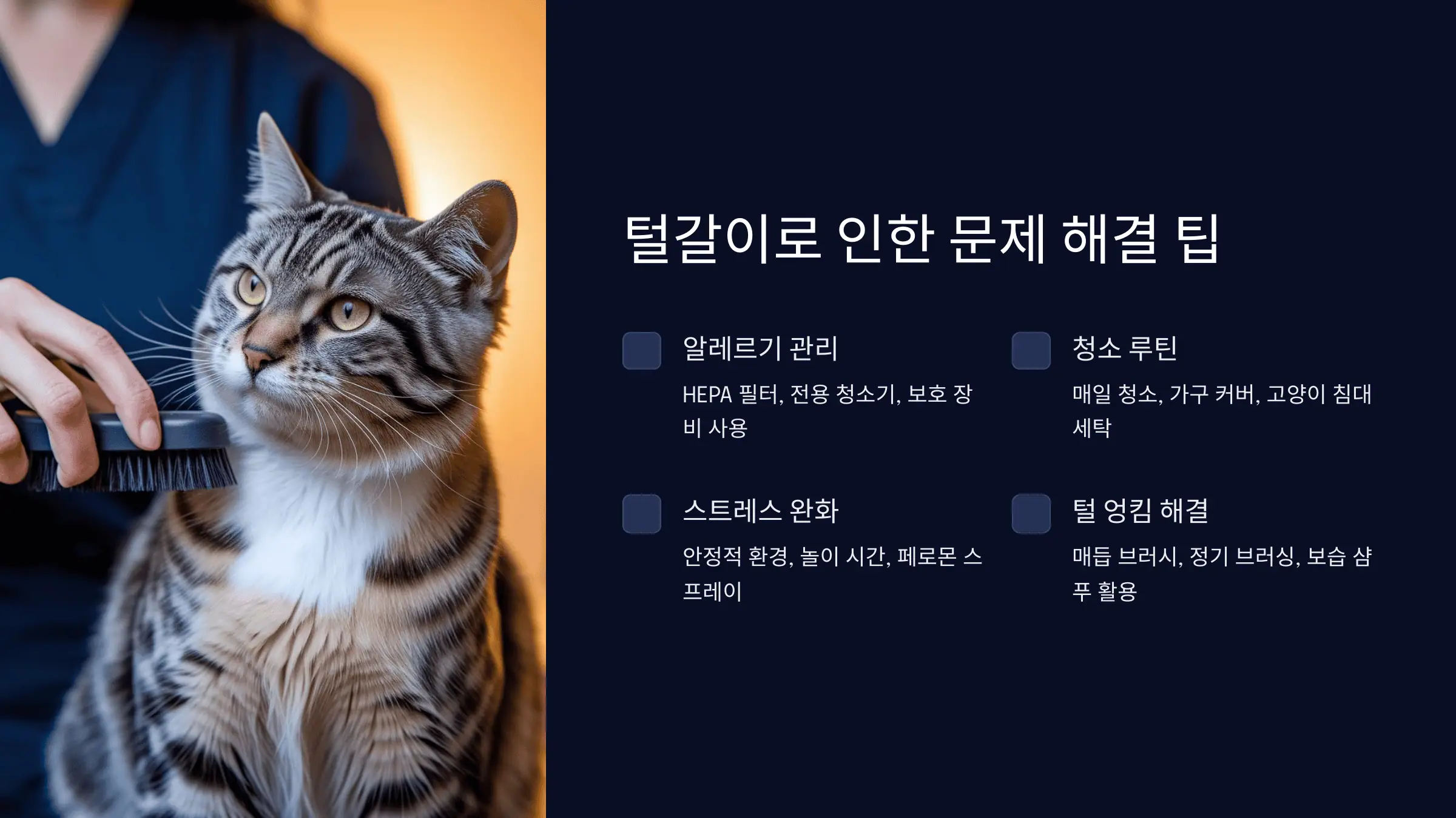 털갈이로 인한 문제 해결 팁
