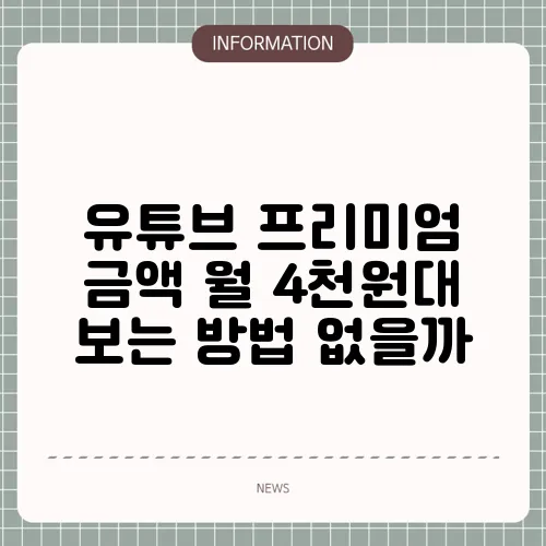 유튜브 프리미엄 금액 월 4천원대 보는 방법 없을까
