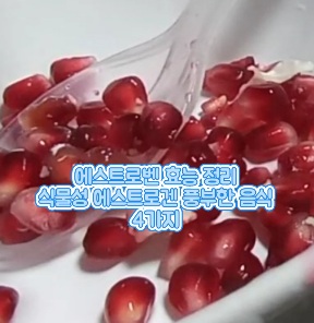 에스트로벤-효능-부작용