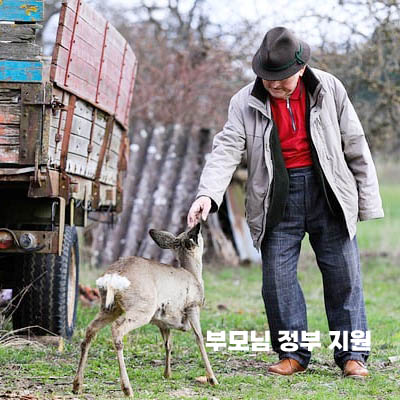 부모님정부지원3