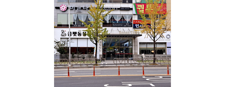 대전 서구 동물병원