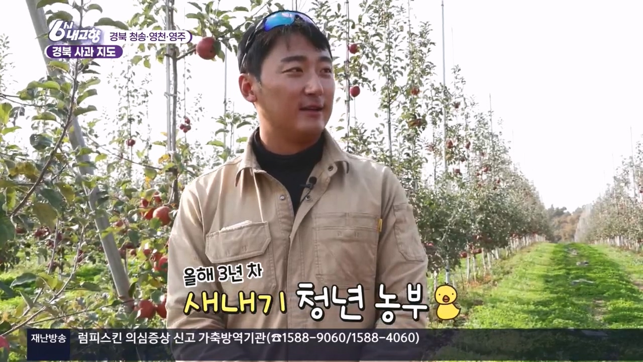 6시 내고향.E7907.231108p.H264-F1RST.mp4_20231108_204319.616.jpg