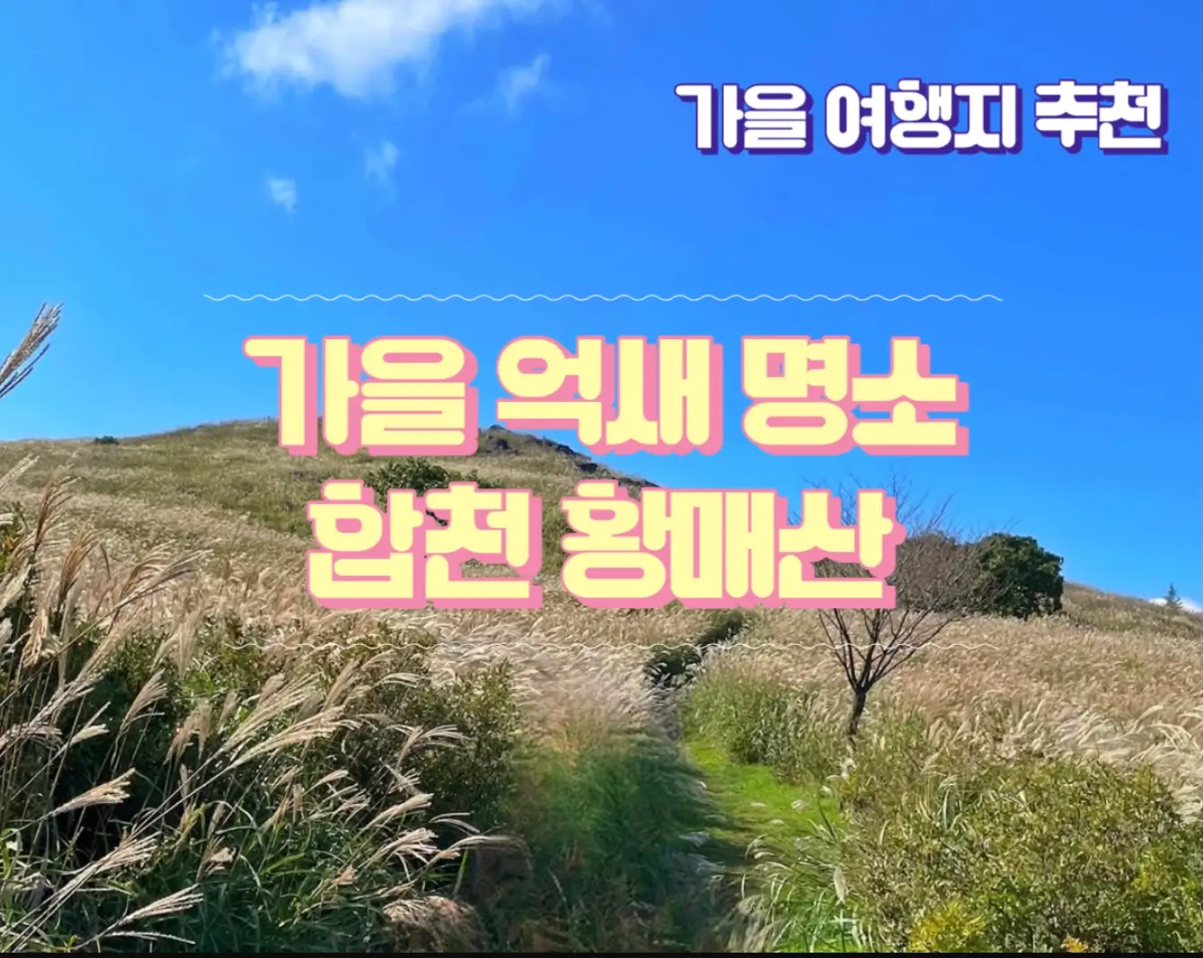  합천 황매산 억새평전 태극기휘날리며 촬영지 가을 억새 명소