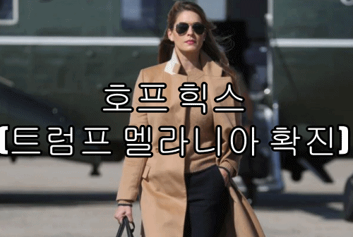  호프 힉스 (트럼프 멜라니아 확진)