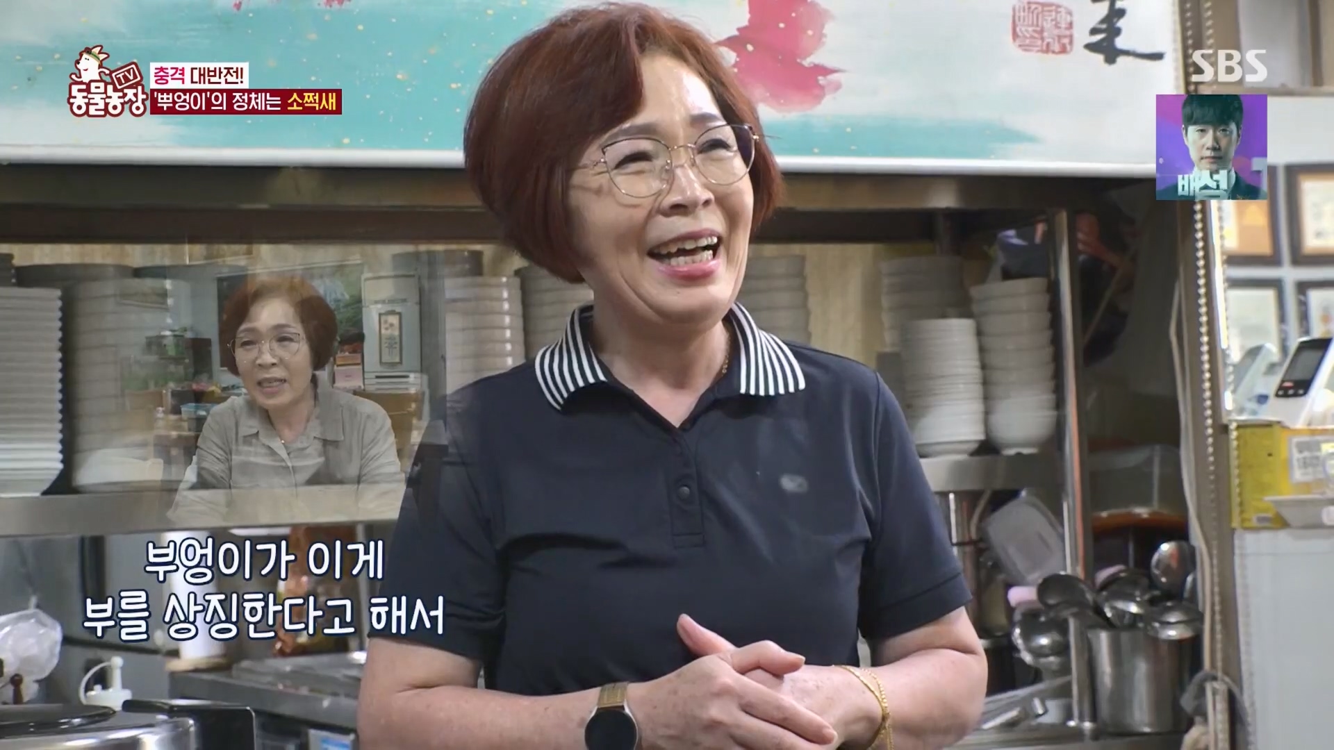 TV 동물농장.E1139.230924p.H264-F1RST.mp4_20230924_170605.263.jpg