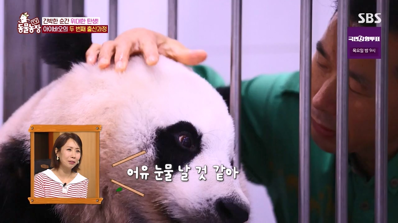 TV 동물농장.E1133.230814p-NEXT.mp4_20230813_171336.087.jpg