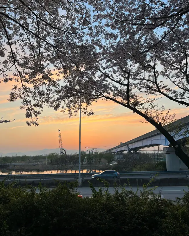 삼락생태공원7