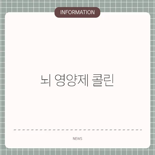 뇌 영양제 콜린