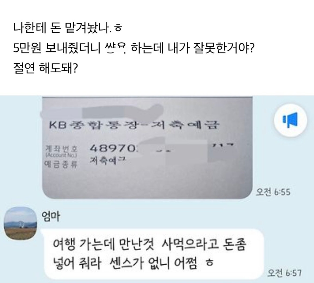 엄마가 일본여행가는데 돈달라고 톡옴ㅋㅋ 2