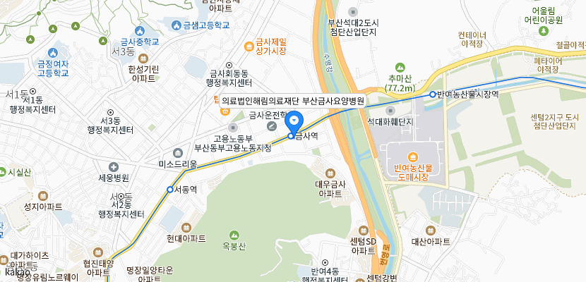 부산금사요양병원 위치