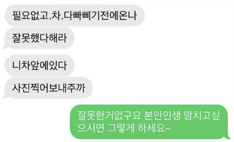 대리불렀는데 대리기사가 음ㅈ운전… 11