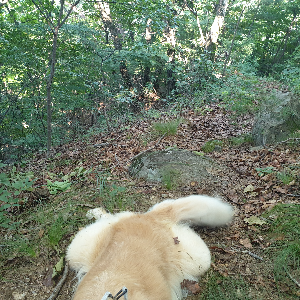 무림리 공주