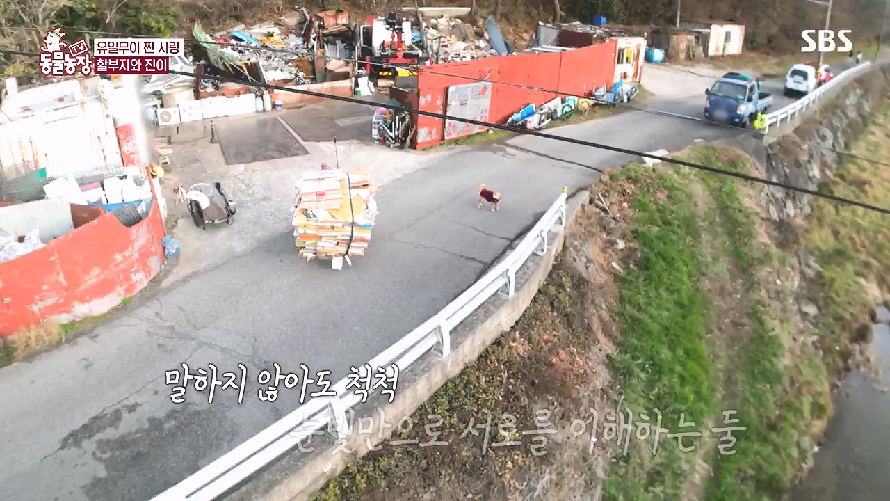 TV 동물농장.E1153.240108p-NEXT.mp4_20240107_173845.218.jpg
