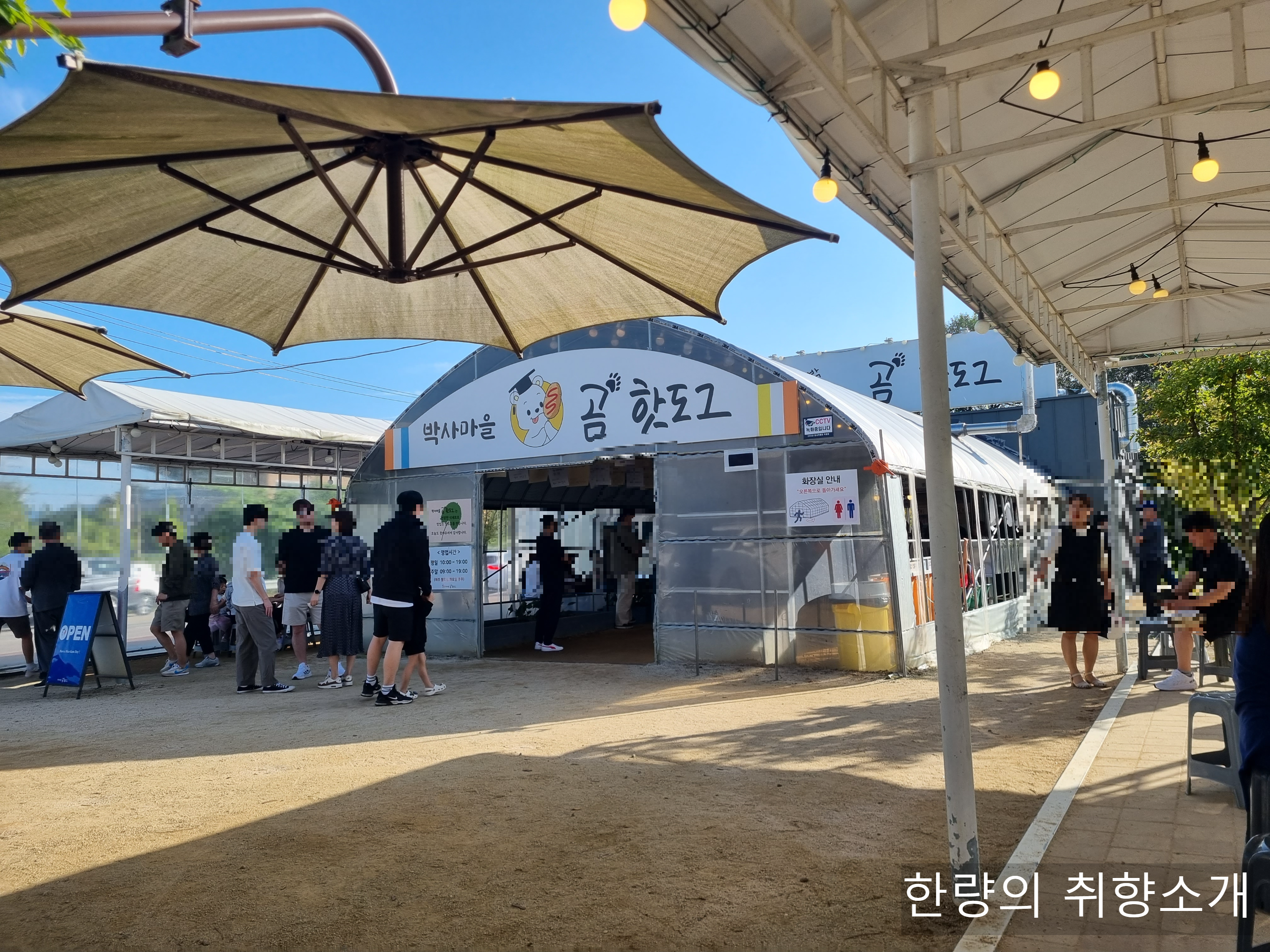 박사마을 곰핫도그 (춘천) - 막 튀긴 핫도그가 맛있는 박사마을 곰핫도그 (춘천) - 막 튀긴 핫도그가 맛있는