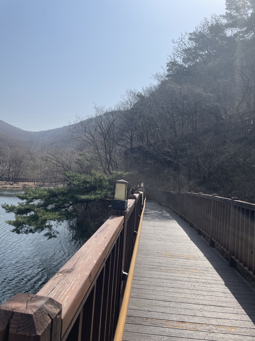 산림원 이미지