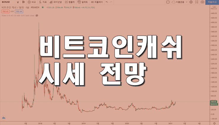  비트코인캐시 시세와 전망을 차트로 확인