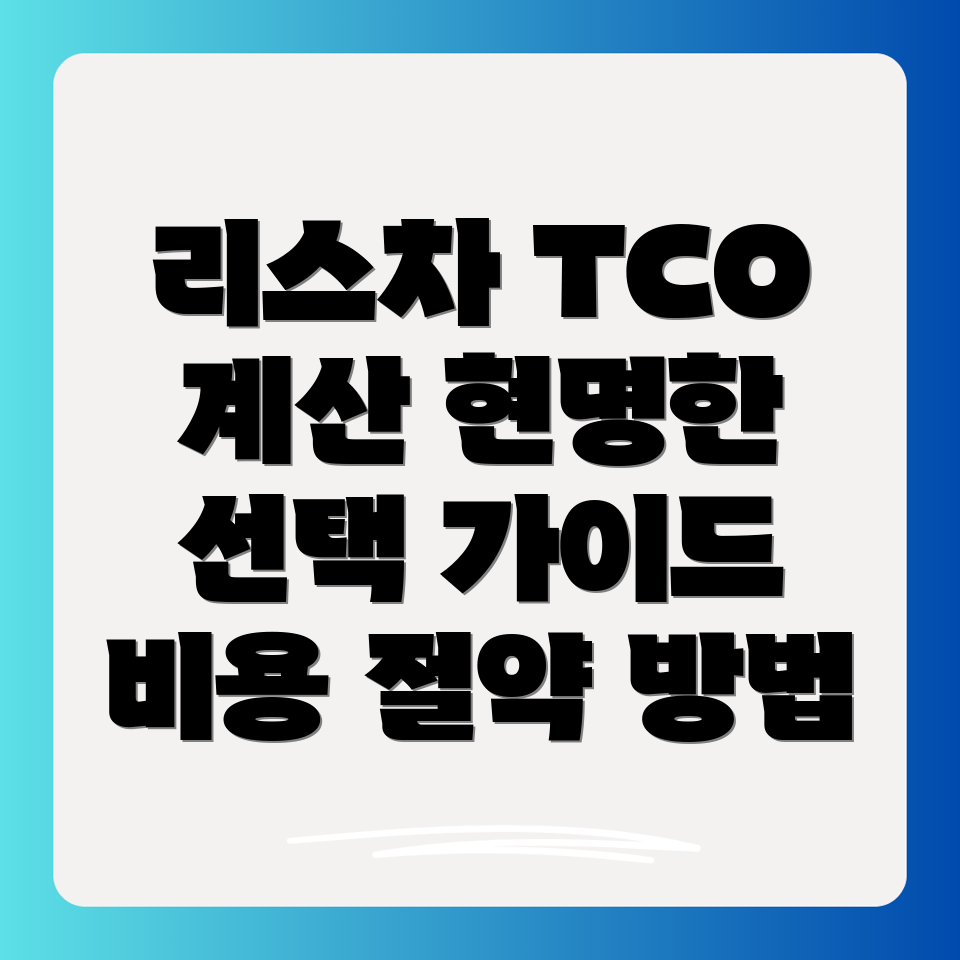 리스차 총소유비용 (TCO)