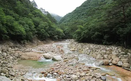 임업직불금 신청 자격 및 방법5