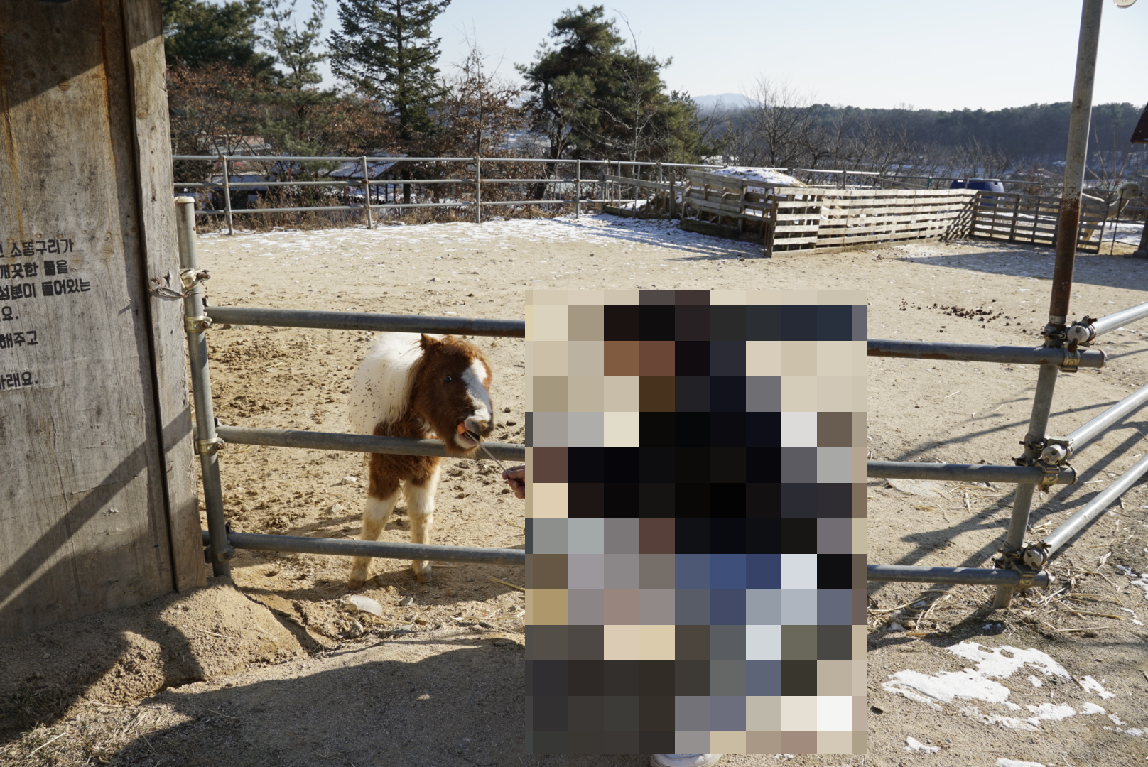 용인 곤충테마파크