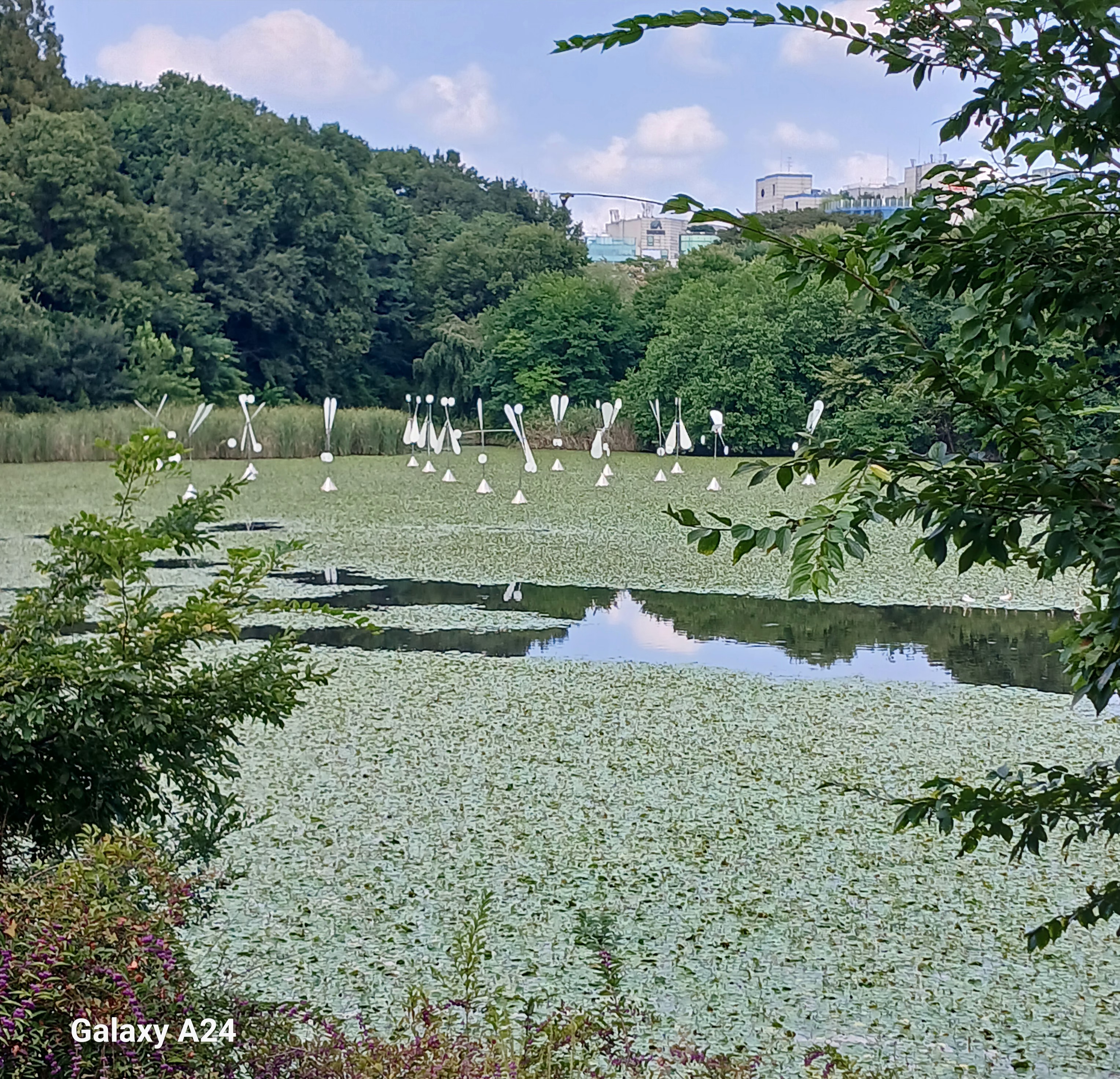 스마트투어 이미지