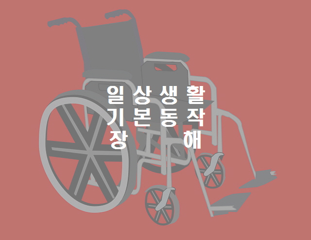  노다지네 잡학다식