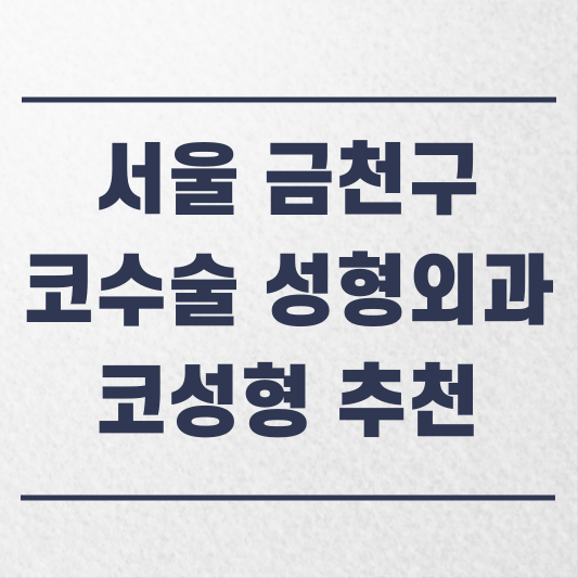 서울 금천구 코수술 성형외과 추천 코성형 잘하는 곳 가격 비용 금액 후기.png