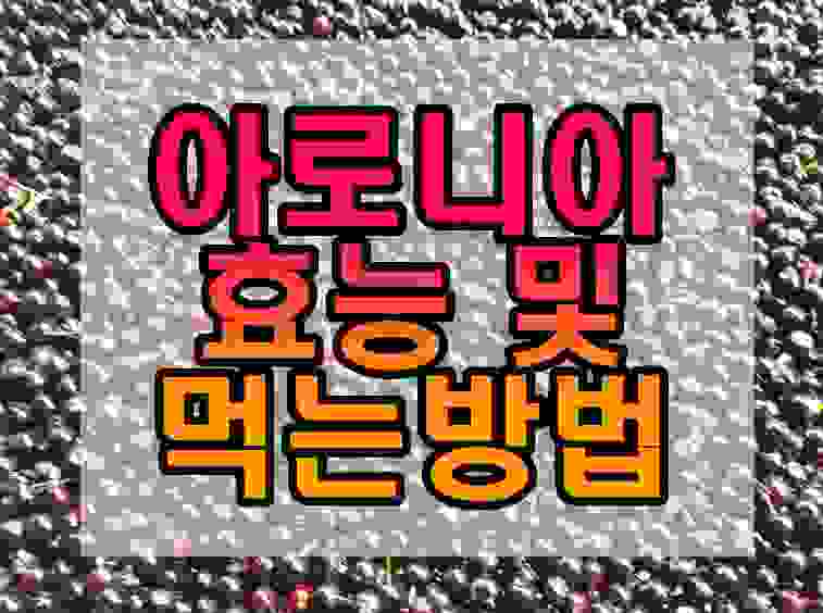  아로니아 효능 총정리