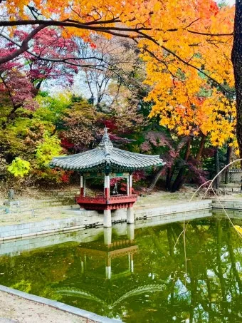 5월 창덕궁 응봉산 수도권 꽃구경 10선_12