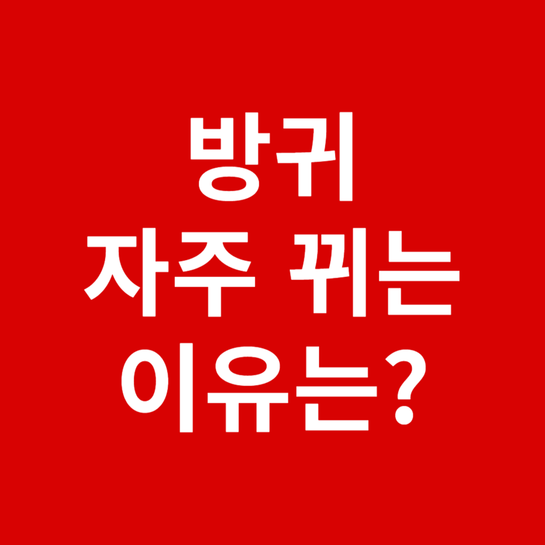 방귀가 자주 나오는 이유