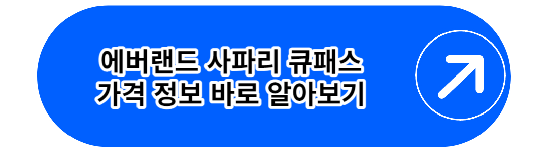 에버랜드 사파리 큐패스 가격 정보 바로 알아보기