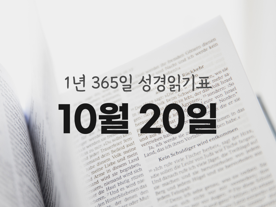 1년 365일 성경읽기표 10월 20일 마르코복음 성경읽기 진도표