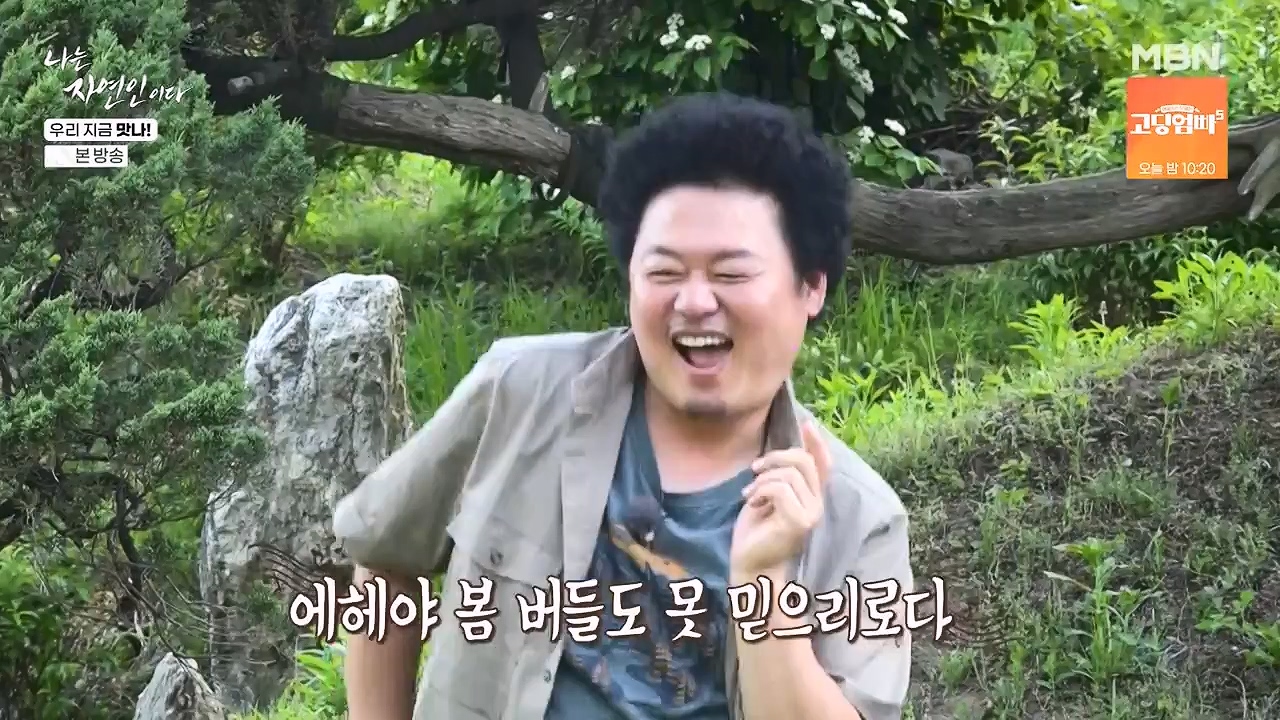 나는 자연인이다.E609.240613p-NEXT.mp4_20240613_195118.319.jpg