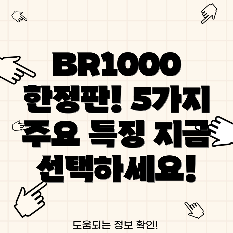 브리츠BR1000한정판5가지주요특징분석및선택가이드