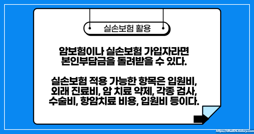 실손보험 활용