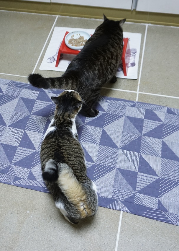 쓰담 이미지