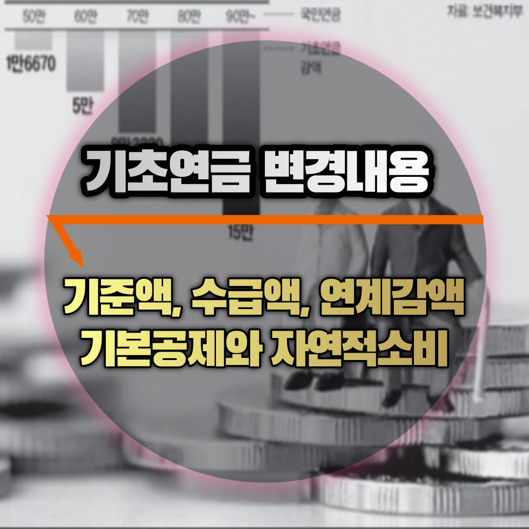 기초연금 변경내용