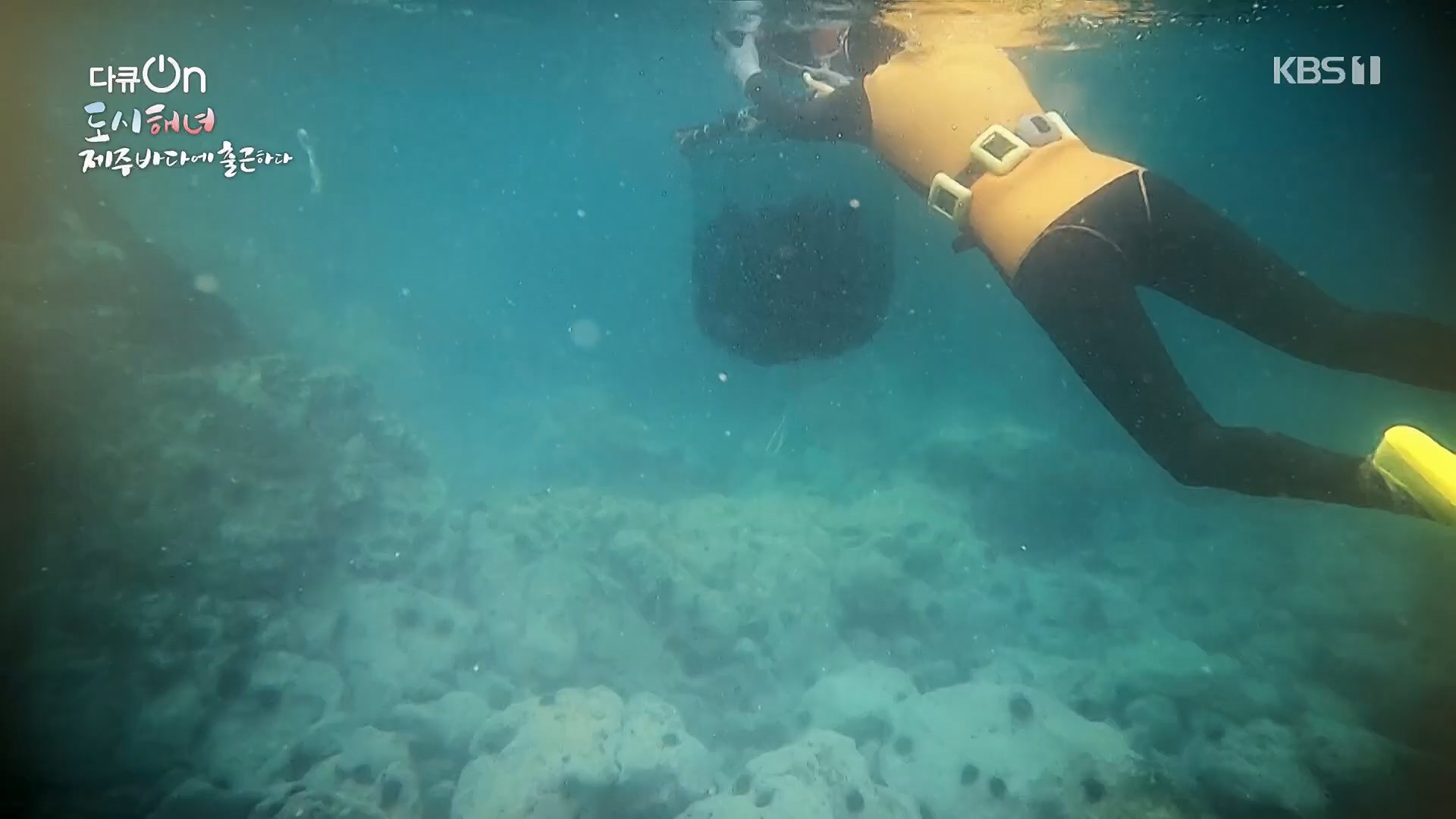 다큐 On.E197.230505p.H264-F1RST.mp4_20230507_133457.912.jpg