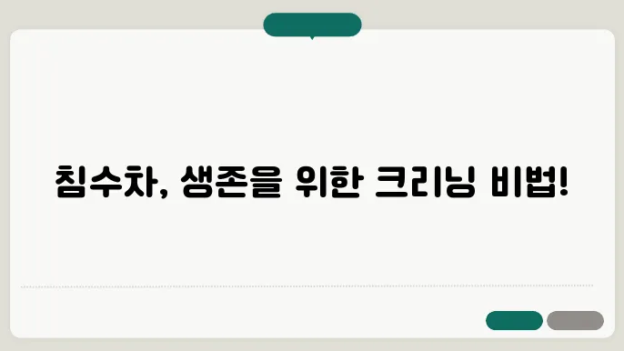 침수차 크리닝, 효과적인 방법과 팁