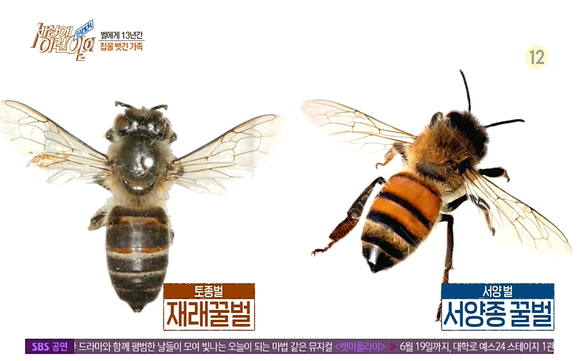 순간포착 세상에 이런일이.E1183.220608p-NEXT.mp4_20220608_200131.785.jpg